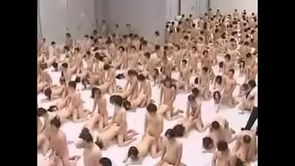XXX oriental orgy วิดีโอยอดนิยม