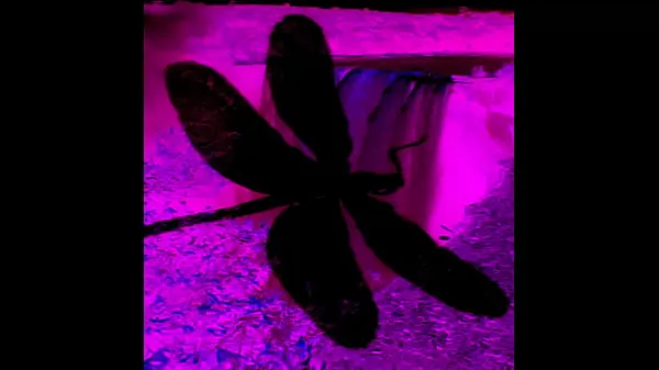 XXX Dark Lantern Entertainment Presents 'The Dragonfly' Scene 4 Pt.2 top Video